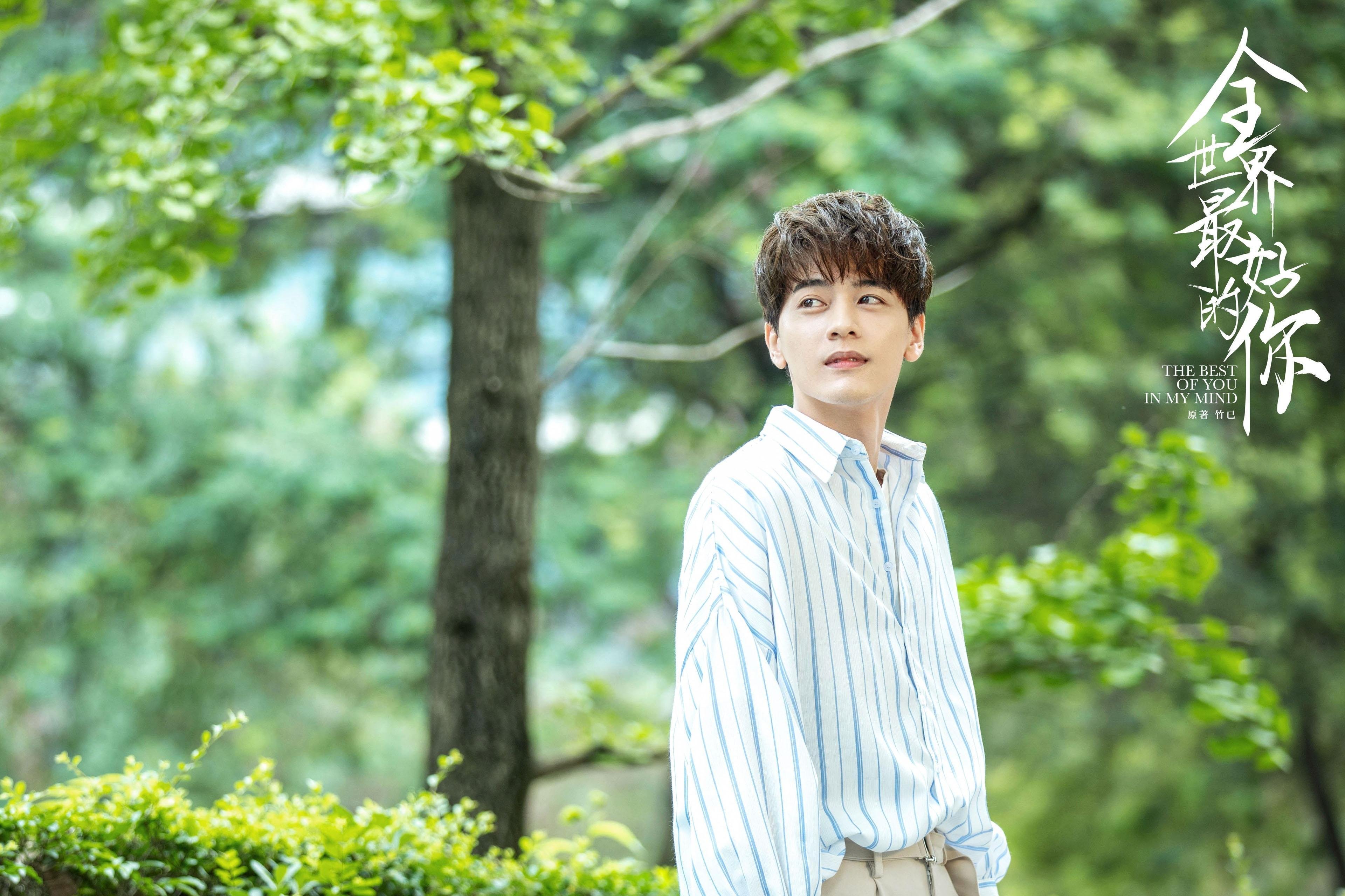 跨越时空的决胜者，从辽宁队的坚韧到字母哥的统治