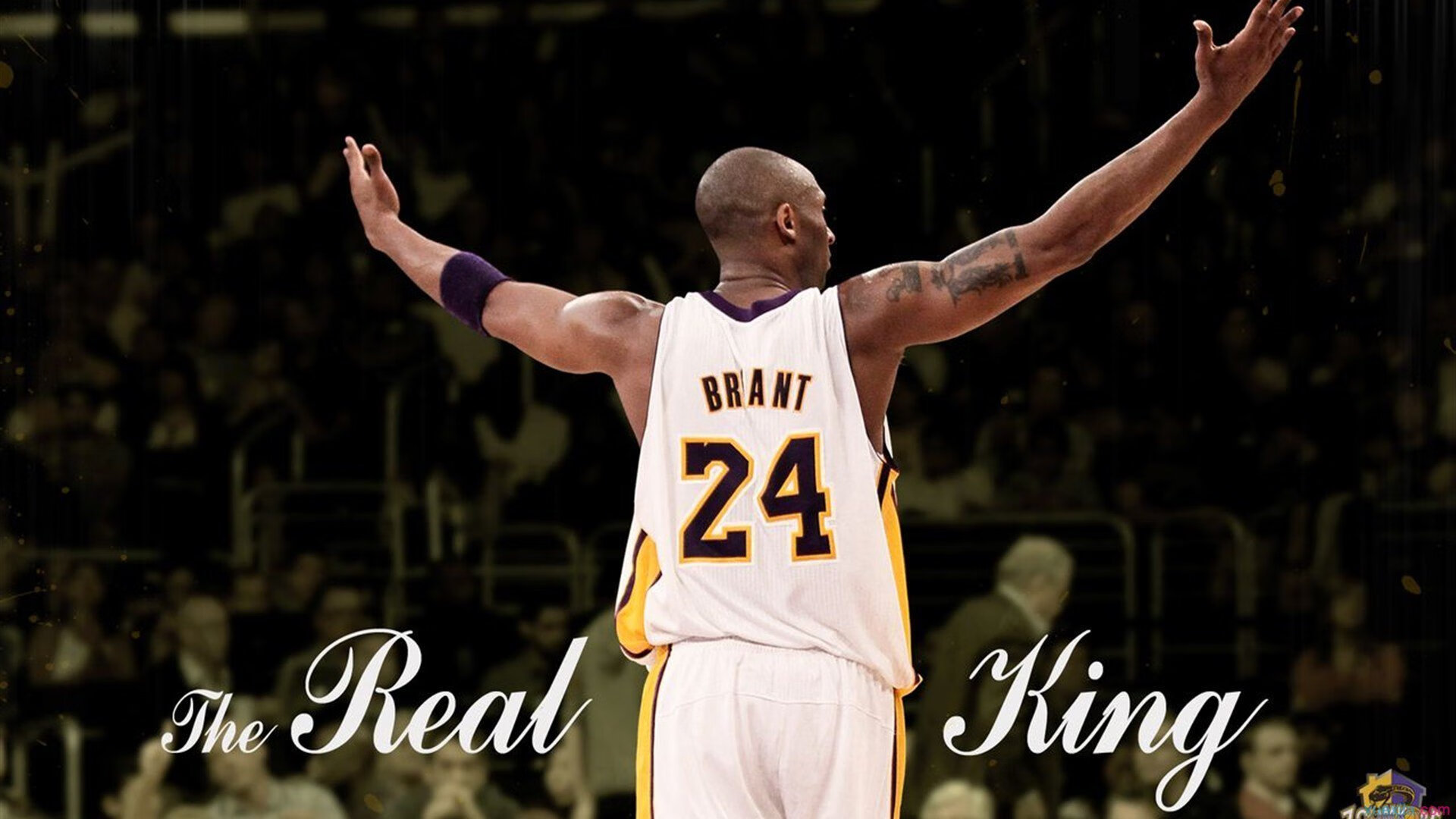 雷速-逆转与统治，雷诺车队的绝地反击与诺里斯的孤独王座